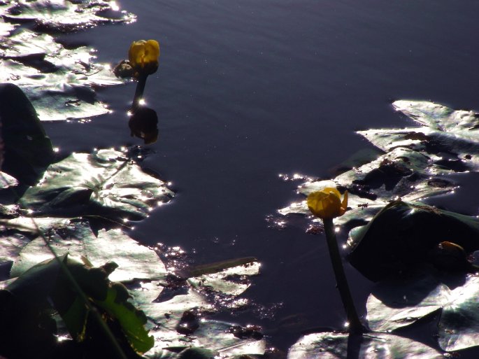 b0141042_0123985.jpg