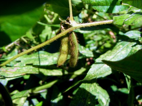 b0141042_075946.jpg