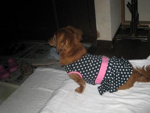 c0206342_2033488.jpg