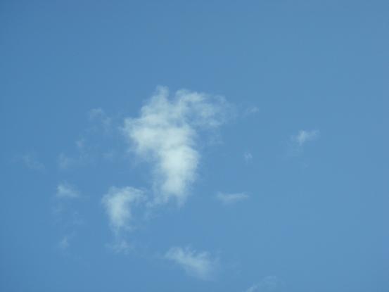 b0147444_19515692.jpg