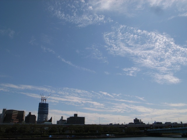 d0075945_228520.jpg