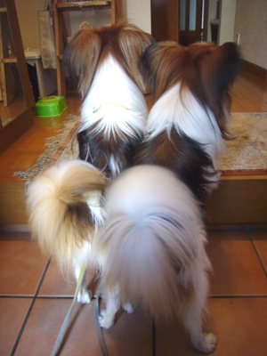 e0100046_16541231.jpg