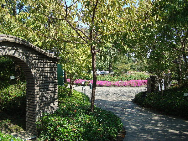 e0111346_17572960.jpg