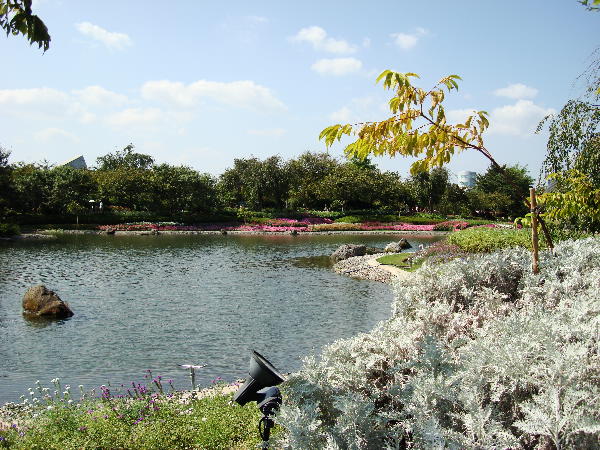 e0111346_17593274.jpg
