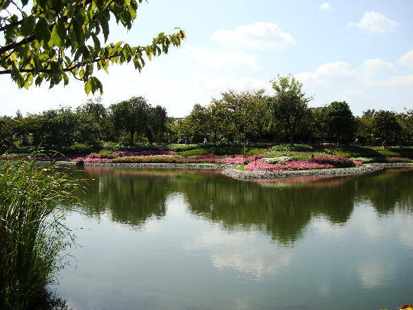 e0111346_180032.jpg