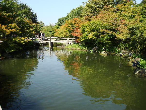 e0111346_1802176.jpg