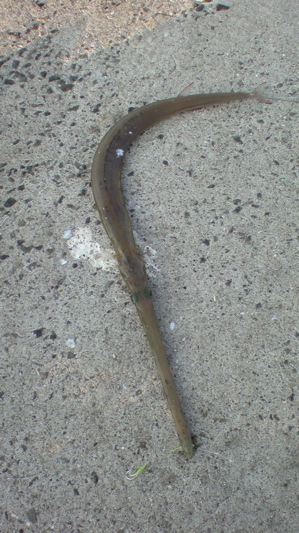 b0042548_17394335.jpg