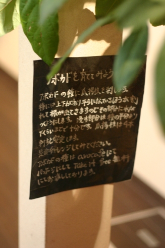 d0018656_2332752.jpg