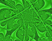 c0119160_10231449.jpg