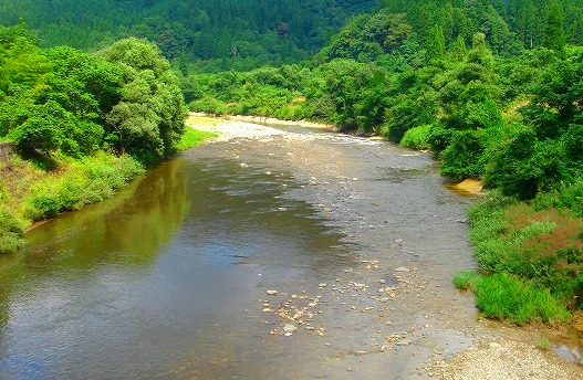 c0119160_1145669.jpg