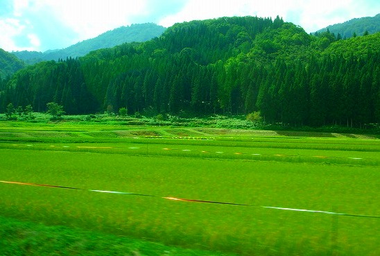 c0119160_1175777.jpg