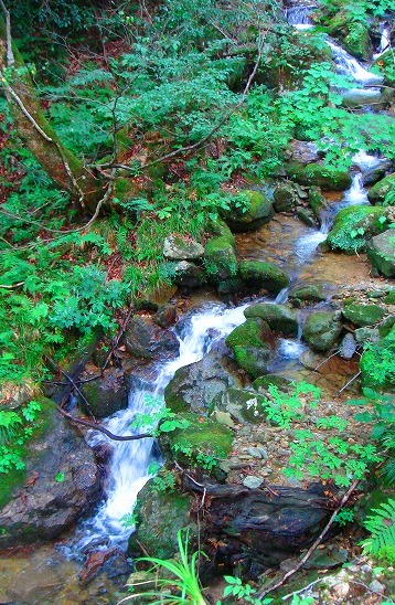 c0119160_93338.jpg