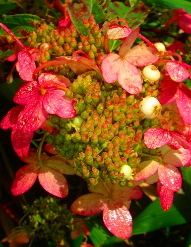 c0119160_992599.jpg