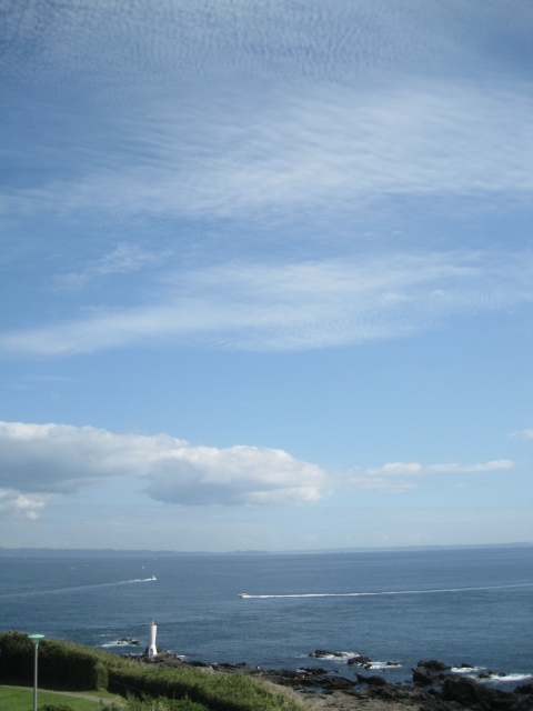 e0158363_816056.jpg