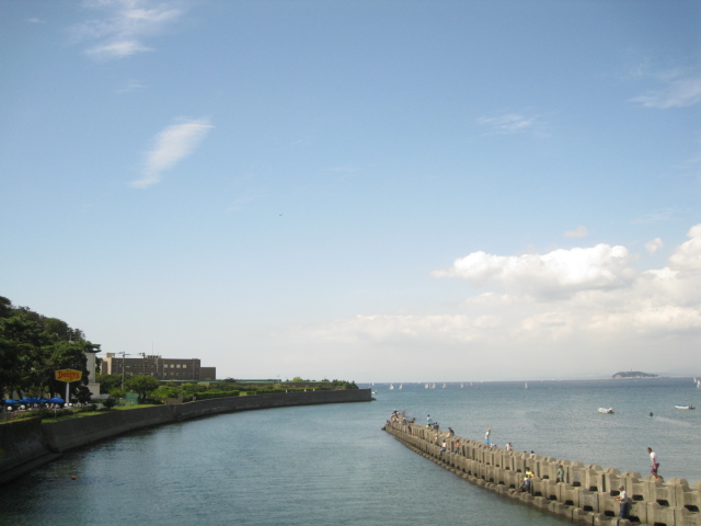 e0158363_895456.jpg