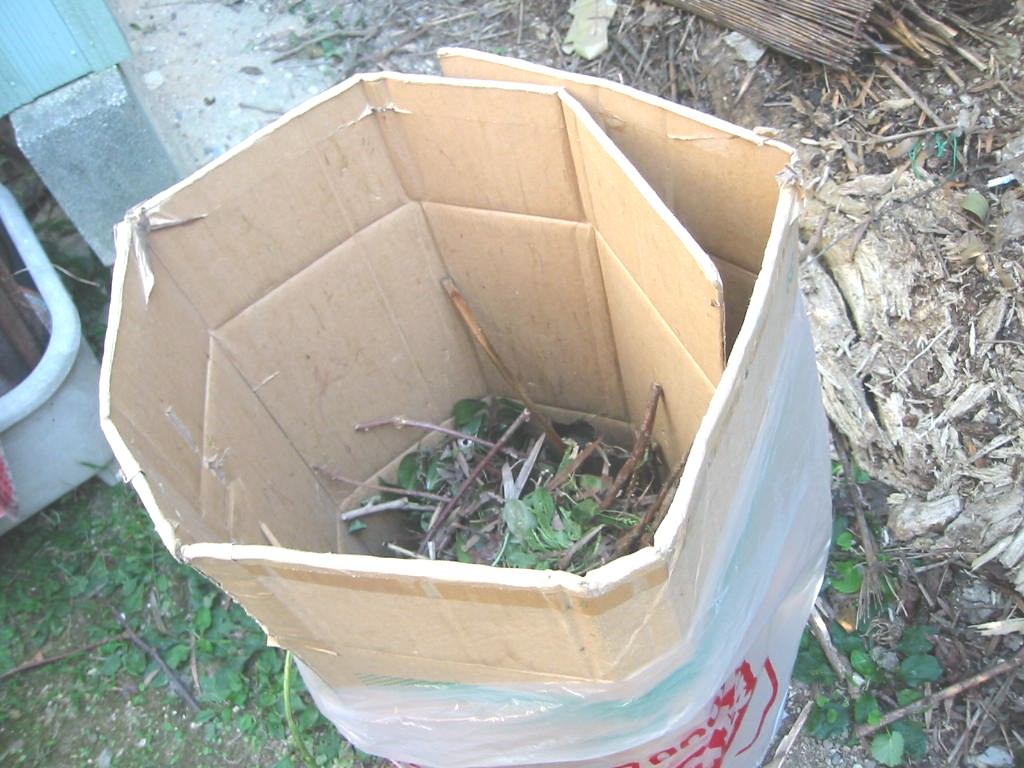 e0031572_15142199.jpg