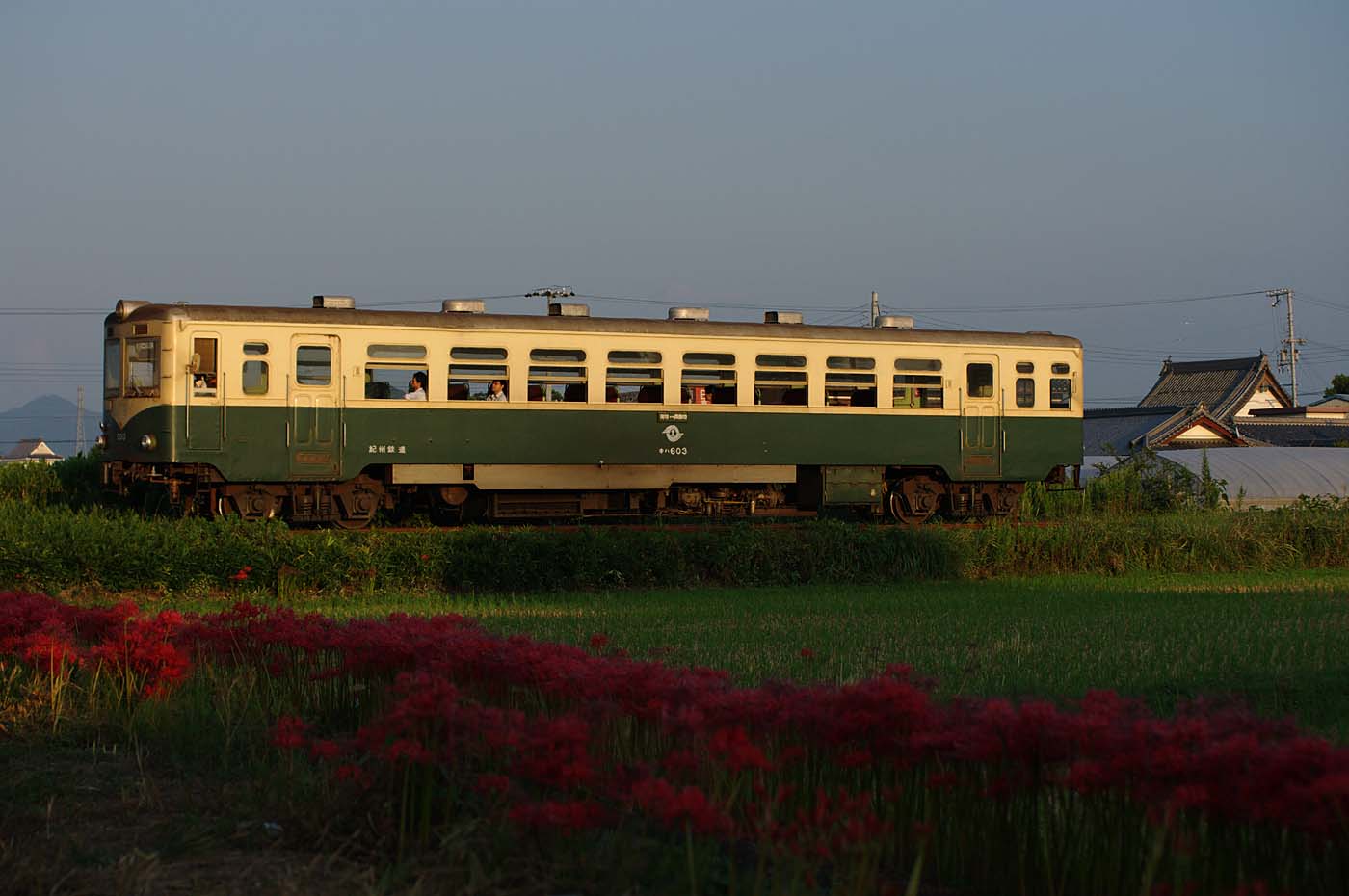 e0070773_2493773.jpg