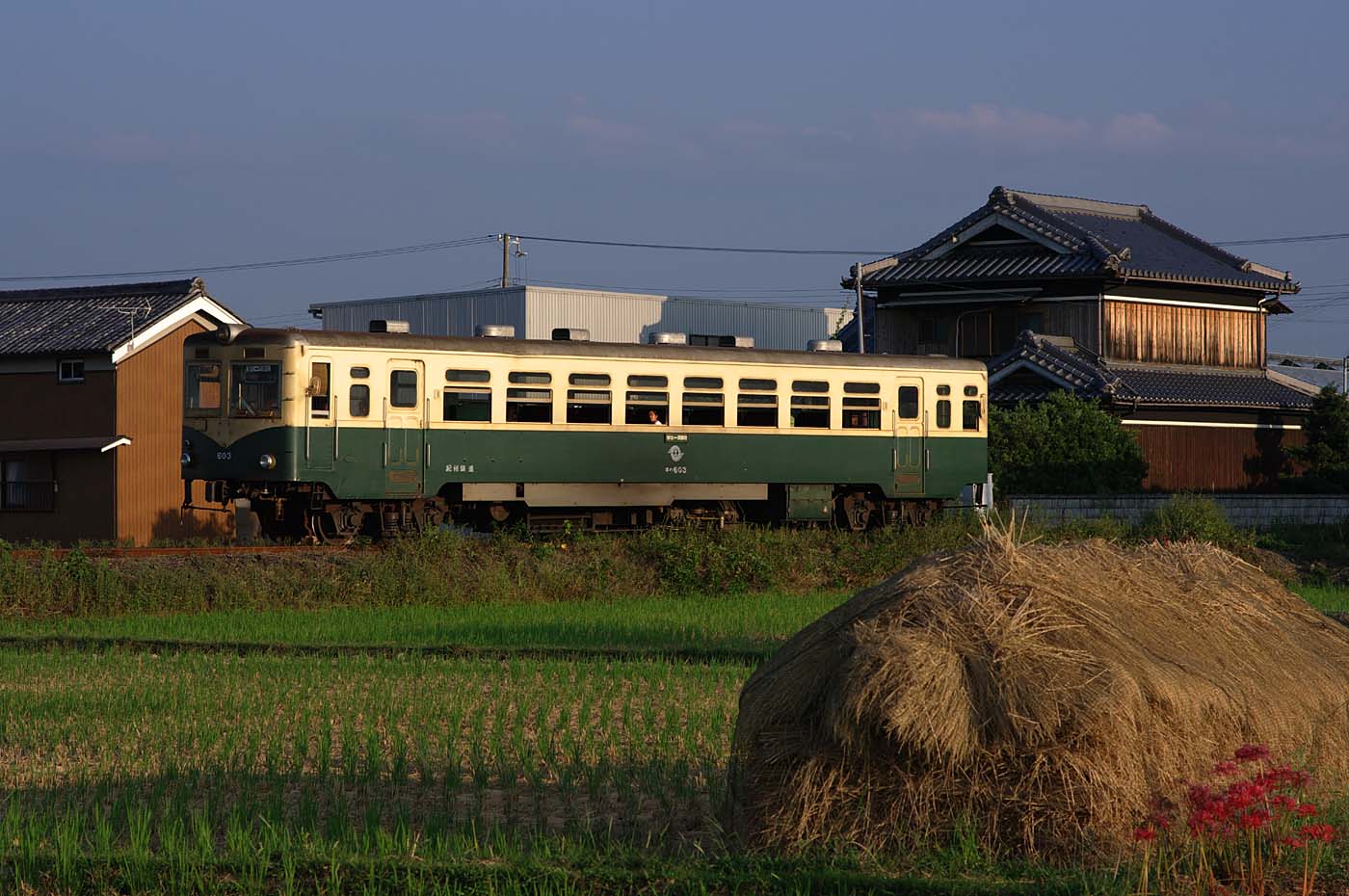 e0070773_3385638.jpg