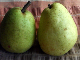 f0140174_2012266.jpg