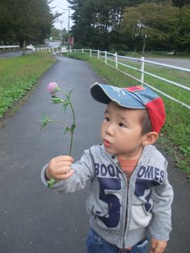 f0070875_2339349.jpg