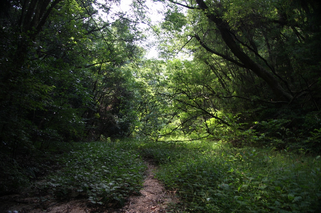 e0024081_1582832.jpg