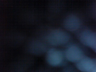 a0131387_20555721.jpg