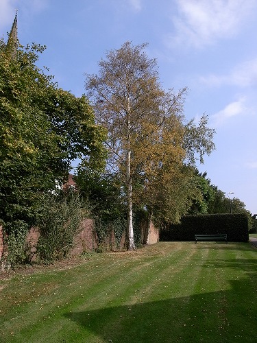 b0119493_8463311.jpg