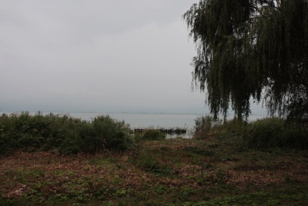 d0133693_18341968.jpg