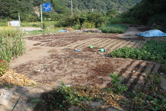 b0125397_12513678.jpg