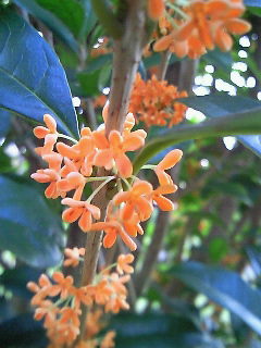 f0114900_19113616.jpg
