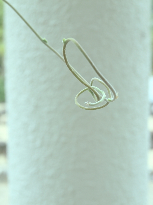 b0138101_11518100.jpg