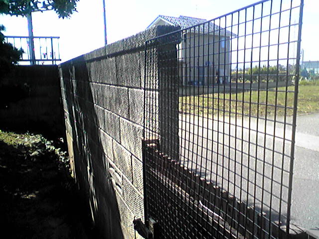 f0079202_15534633.jpg