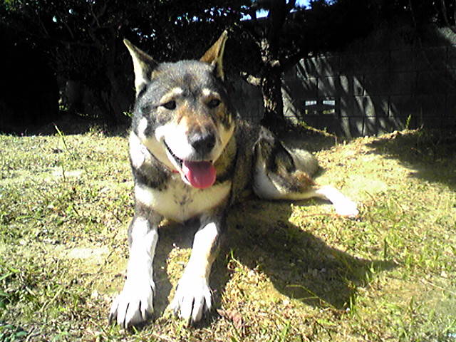 f0079202_15534688.jpg