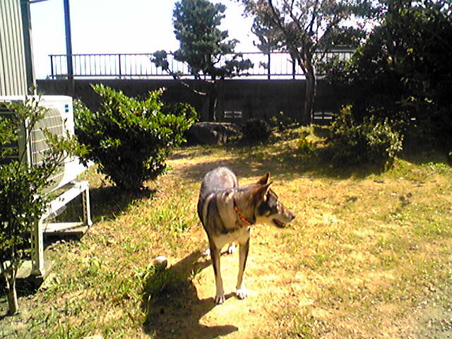 f0079202_15534692.jpg
