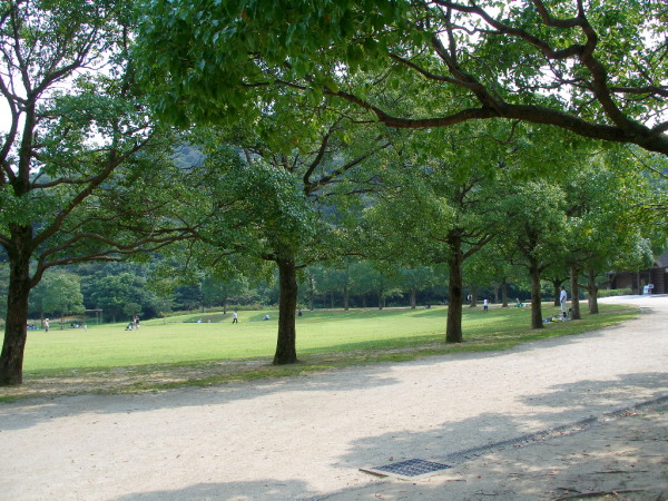 c0036203_16592081.jpg