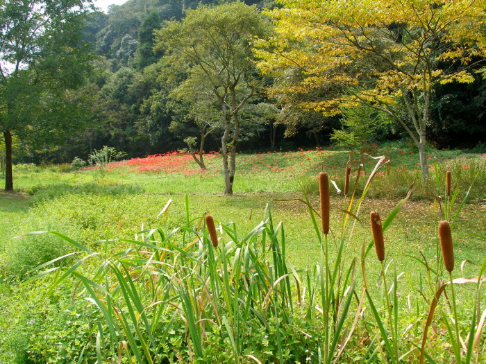 c0036203_17172282.jpg