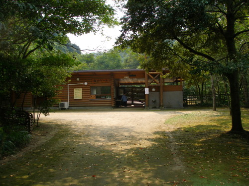 c0036203_17225536.jpg