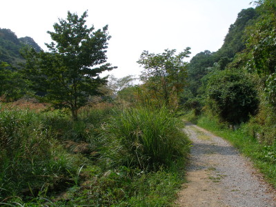 c0036203_17334918.jpg