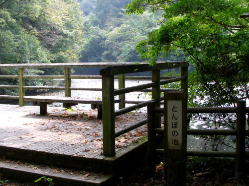 c0036203_1737497.jpg