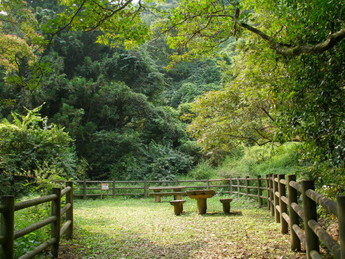 c0036203_17394070.jpg