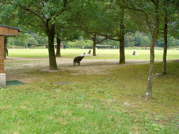 c0036203_177522.jpg