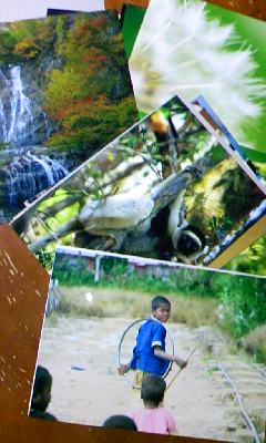 f0032403_224121.jpg