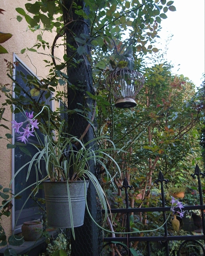 f0065604_20264374.jpg