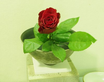 a0043405_7151923.jpg