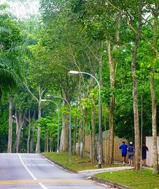 c0148705_17124214.jpg