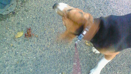 c0205806_21184450.jpg