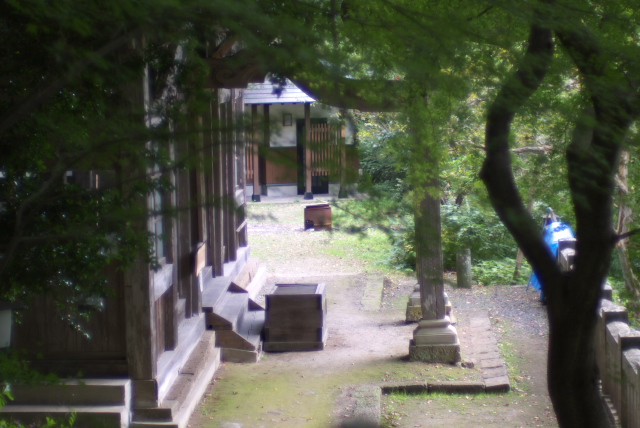 d0143011_10133887.jpg