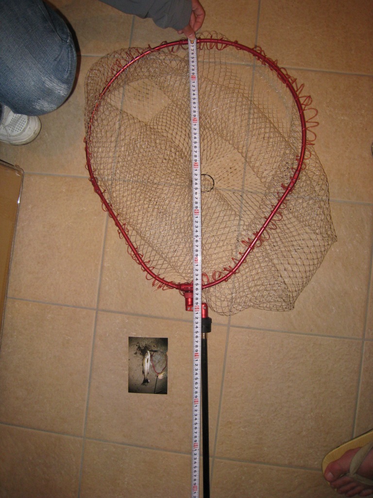 d0119915_20523554.jpg