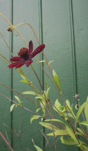 c0097620_23555311.jpg