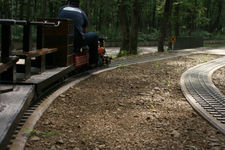 f0097620_1183687.jpg